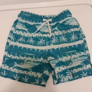 Shark swim trunks